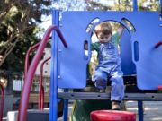 Activité dans le jardin pour enfant