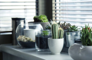 Pots