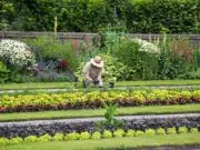 Travaux de jardinage