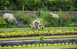 Travaux de jardinage