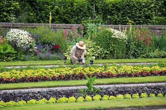 Travaux de jardinage