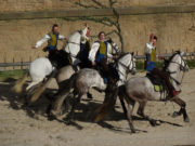 Trouver un hébergement au Puy du Fou