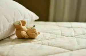 Reconnaître les punaises de lit et en prévenir leur prolifération