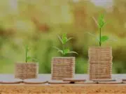 Le placement assurance vie : explication, principes