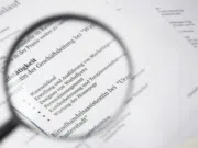 curriculum vitae