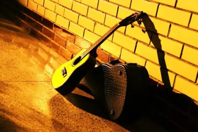 choisir-ukulele choisir son ukulélé