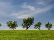 Une formation liée à l’environnement pour un avenir solide