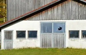 Les avantages du débarras de maison ou de locaux professionnels en Île-de-France
