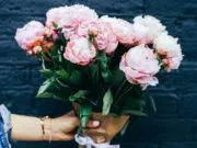 livraison de fleurs