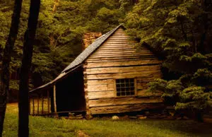 Pourquoi installer un studio de jardin en bois