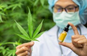 cbd dans le monde