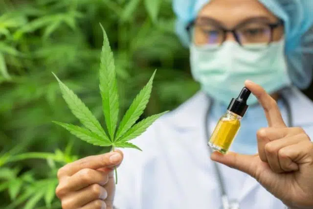 cbd dans le monde cbd dans le monde