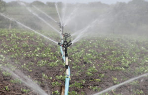 Comment choisir son système d’irrigation agricole