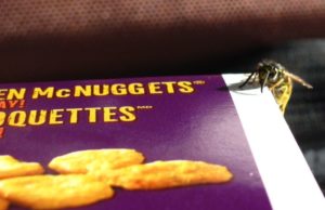 acheter un désinsectiseur