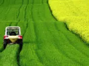 agriculture