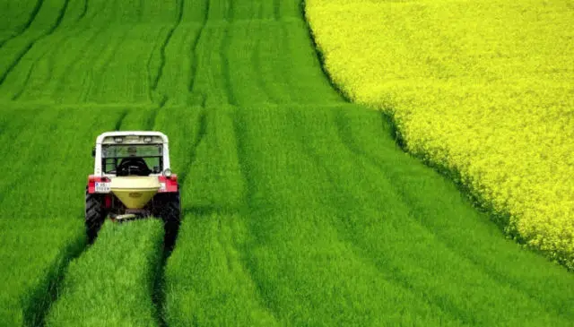 agriculture agriculture