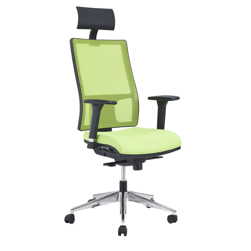 chaise ergonomique