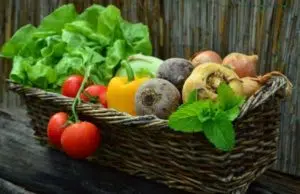 produits en direct des producteurs