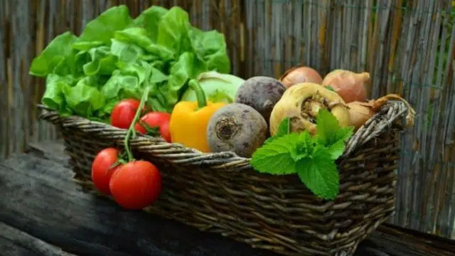 produits en direct des producteurs produits en direct des producteurs