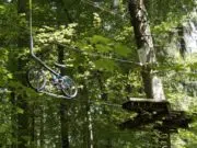 accrobranche
