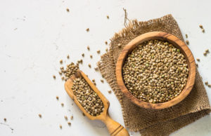 graines de cannabis