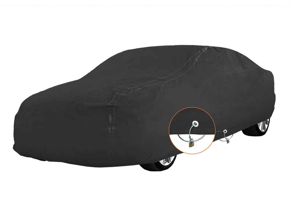 protection voiture