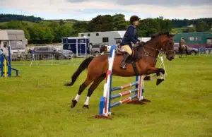 équipement équitation