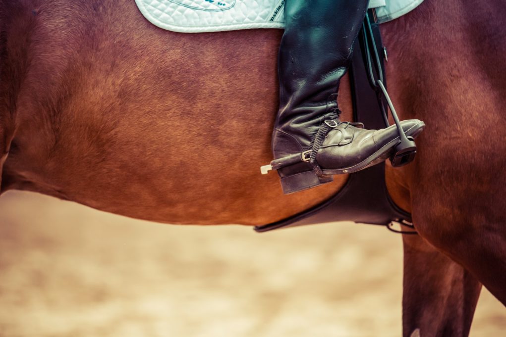 équitation accessoires