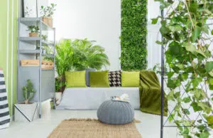 Comment recréer une ambiance tropicale à la maison