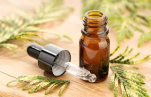 Sous quelle forme consommer le CBD ? consommation cbd