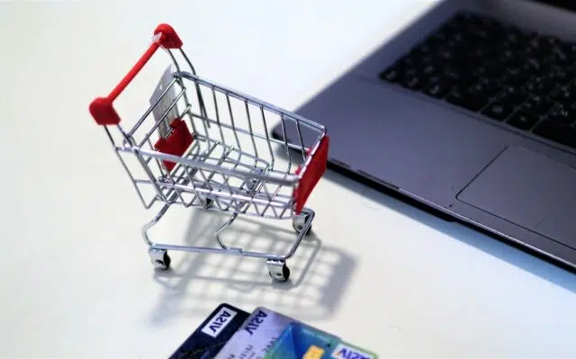 ecommerce skunk ecommerce skunk