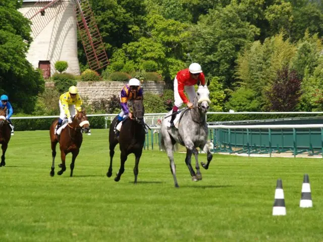 handicap sport handicap sport