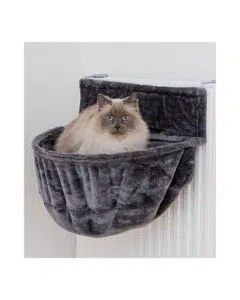 hamac chat