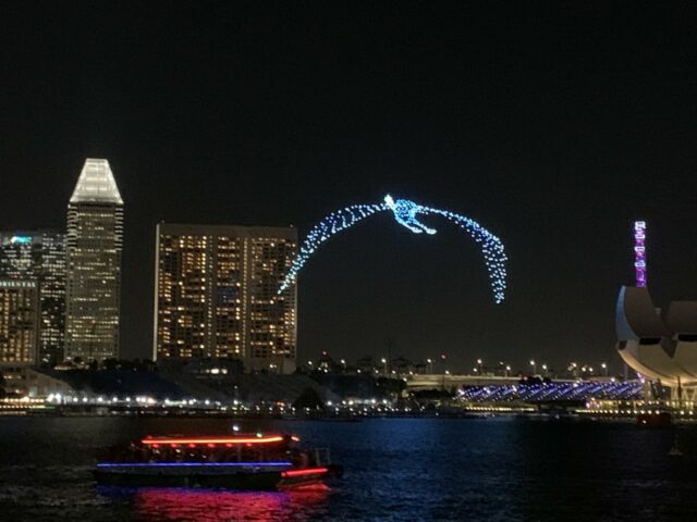 spectacle drone oiseau