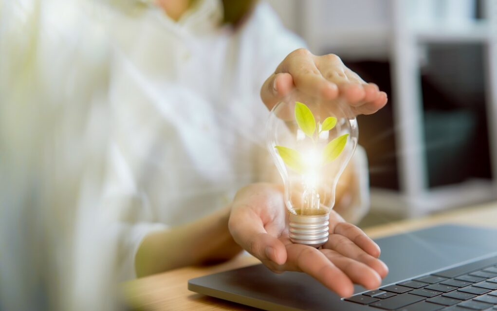 contrat d'un fournisseur d’électricité verte