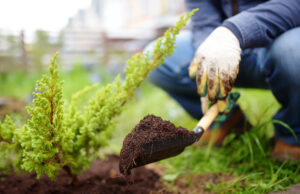 jardinage