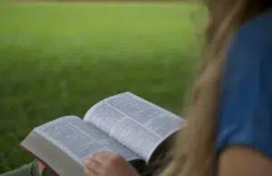 Introduction au catholicisme : quelle partie de la Bible privilégier ? bible