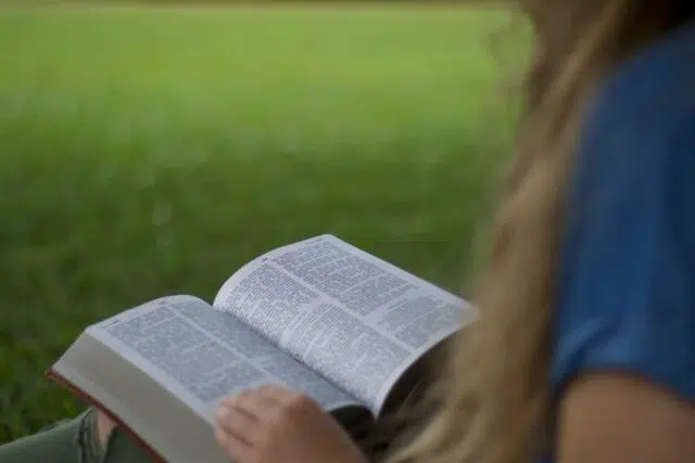 bible bible