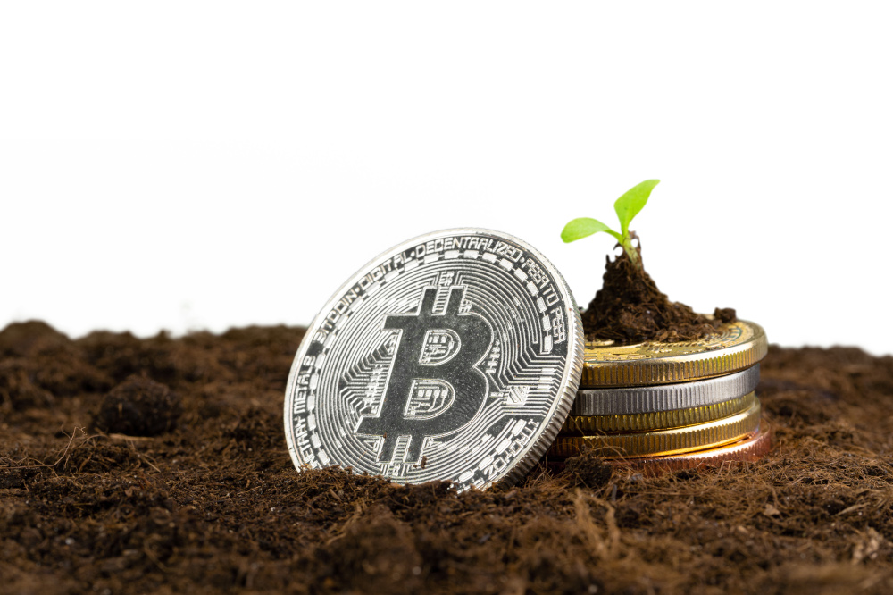 invest-in-Bitcoin