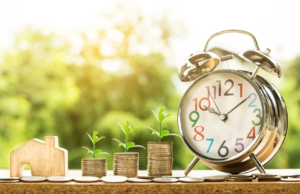 investir en LMNP