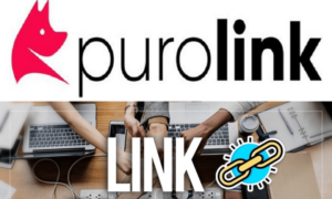 link-building-puro