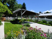 un carport dans son jardin