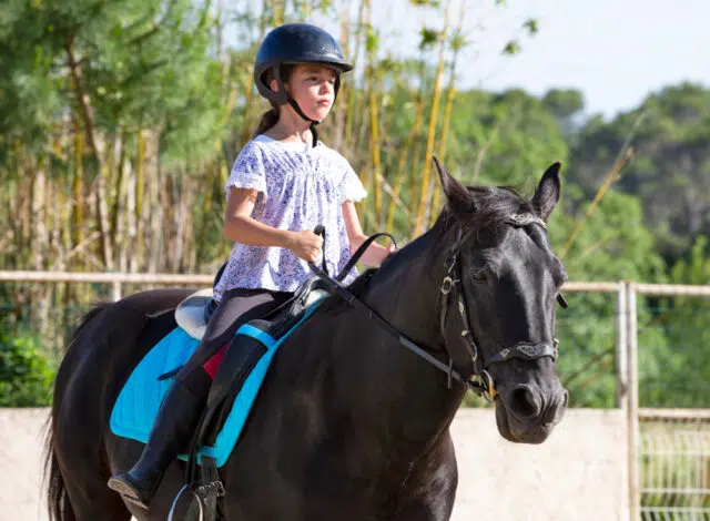 sports adolescents sports adolescents