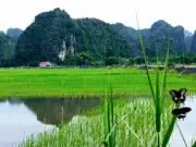 Tout savoir sur le voyage au Vietnam voyage au vietnam