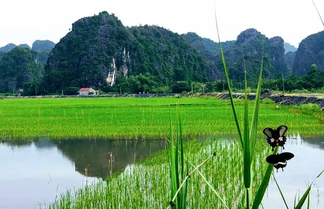 voyage au vietnam voyage au vietnam