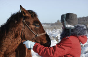 chaufferette réutilisable