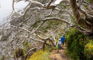trek Cambodge