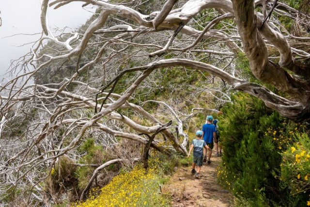 trek Cambodge