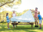 table pic nic