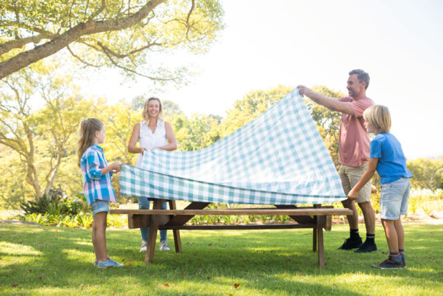 table pic nic